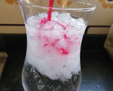 Foto del paso 2 de la receta: Original Gintonic con Granada🤩