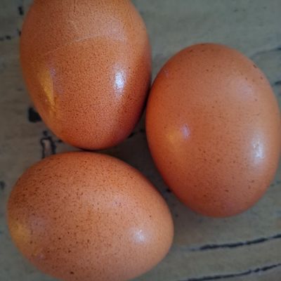 Langkah 1
