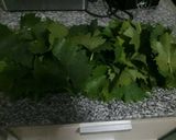 Foto del paso 1 de la receta: Conserva de hojas de Parra