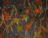 Candied citrus peel recipe step 20 photo
