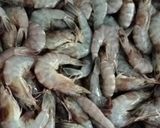 Foto langkah ke 1 dari resep Udang Asam Manis.