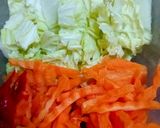 Foto langkah ke 1 dari resep Pancit Canton (Mie Goreng Philipine).