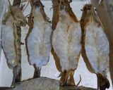 Foto langkah ke 1 dari resep Tiger Prawn Panggang Oven (Bumbunya Super Sedap).