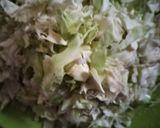 A picture of step 1 of Cabbage thoran(Kerala style).