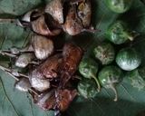 Foto langkah ke 1 dari resep Lodeh ikan layur dengan terong.