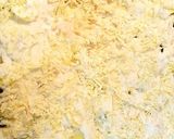 Foto del paso 3 de la receta: Patatas con bechamel gratinadas