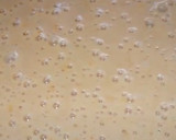 Foto del paso 4 de la receta: Bizcocho de mandarina
