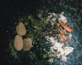 Foto del paso 1 de la receta: Cuartos de pollo al horno con especias