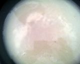 A picture of step 2 of Ju's easy Naan.