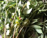 A picture of step 1 of Gongura chutney.