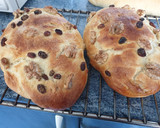 Foto del paso 3 de la receta: Fogasas de nueces y pasas