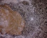 Foto del paso 2 de la receta: Pizza con harina integral💪💜