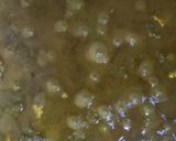 A picture of step 6 of Palak paneer.