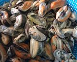 Foto langkah ke 1 dari resep Kerang hijau saus padang.