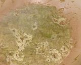 சுரைக்காய் அல்வா (Suraikkaai halwa recipe in tamil) ரெசிபி ஸ்டேப் 4 புகைப்படம்