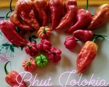 A picture of step 1 of BHUT JOLOKIA EGG CURRY (Named by me).