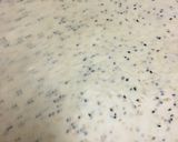 A picture of step 12 of Herfi Lamb Tagine.