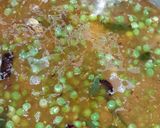 A picture of step 9 of Shahi Matar Paneer Pulao.