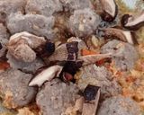 Foto langkah ke 3 dari resep Seblak krupuk mawar.