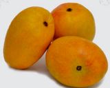A picture of step 1 of Mango Bhapa Doi Steamed Dessert.