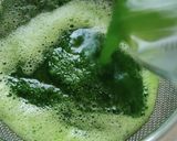 Gambar langkah 1 resipi Cendol Homemade.