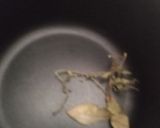 Foto del paso 2 de la receta: Sopa cultivateur