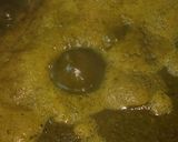 A picture of step 2 of Sarson ka saag.