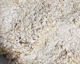 Foto del paso 4 de la receta: Suprema de avena
