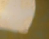 A picture of step 1 of Pakistani kheer 🤍💚 (chawal ki kheer).
