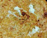 A picture of step 10 of Aloo Wala Paratha.