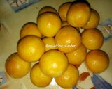 Foto langkah ke 7 dari resep 26. Nastar Lembut.