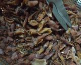 Gambar langkah 1 resipi Sambal sotong #phopbylinimohd #batch18.