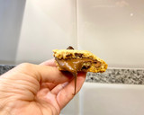 Foto del paso 17 de la receta: Cookies rellenas de Nutella, “sin gluten”