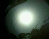 صورة لخطوة 2 من وصفة شيشبرك