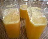 Foto langkah ke 3 dari resep Fruit Pressed Juice.