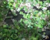 A picture of step 5 of Basil Pesto Chicken Pasta.