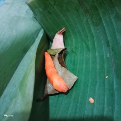 Langkah 4