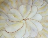 Foto del paso 5 de la receta: Torta de manzana invertida
