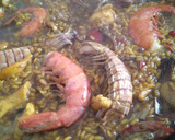 Foto del paso 5 de la receta: Paella de galeras y calamar de anzuelo