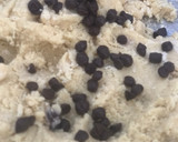 A picture of step 13 of Chocolate chips cookies.