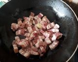 Une image de l'étape 4 de Potée de chou vert et pommes de terre avec Lard salé.