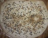 Foto del paso 2 de la receta: Torta de 80 golpes