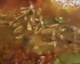 Foto del paso 17 de la receta: Arroz en paella 🥘 o sartén, con paletilla de cordero