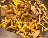 Une image de l'étape 1 de Omelette aux 2 champignons.