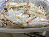 Camarones al Mojo de Ajo con Arroz al Vapor