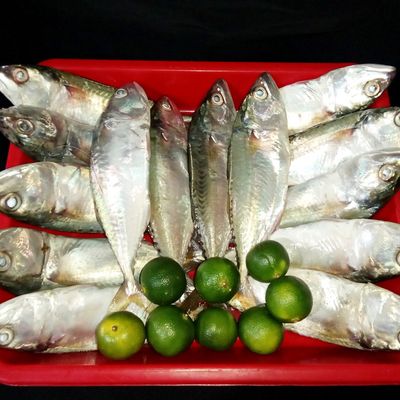 Langkah 1