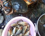 Foto langkah ke 1 dari resep Kepiting Pedas Manis.