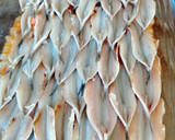 Foto del paso 5 de la receta: Boquerones gratinados