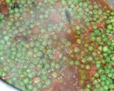 A picture of step 6 of Green Peas biryani.