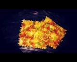 A picture of step 9 of Burrito Filled Ravioli.